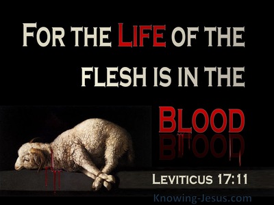 Leviticus 17:11 The Life Of The Flesh Is In The Blood (beige)